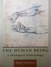 THE HUMAN BEING